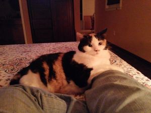 10665223_10203382914107481_1895988636813740081_n