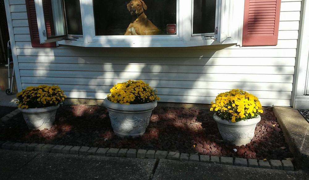 14724008_10208672639747316_116070843_o