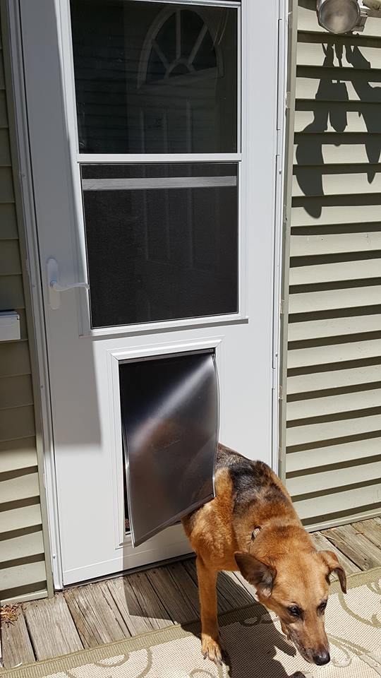 19551300_10210915642220976_1552188812_n