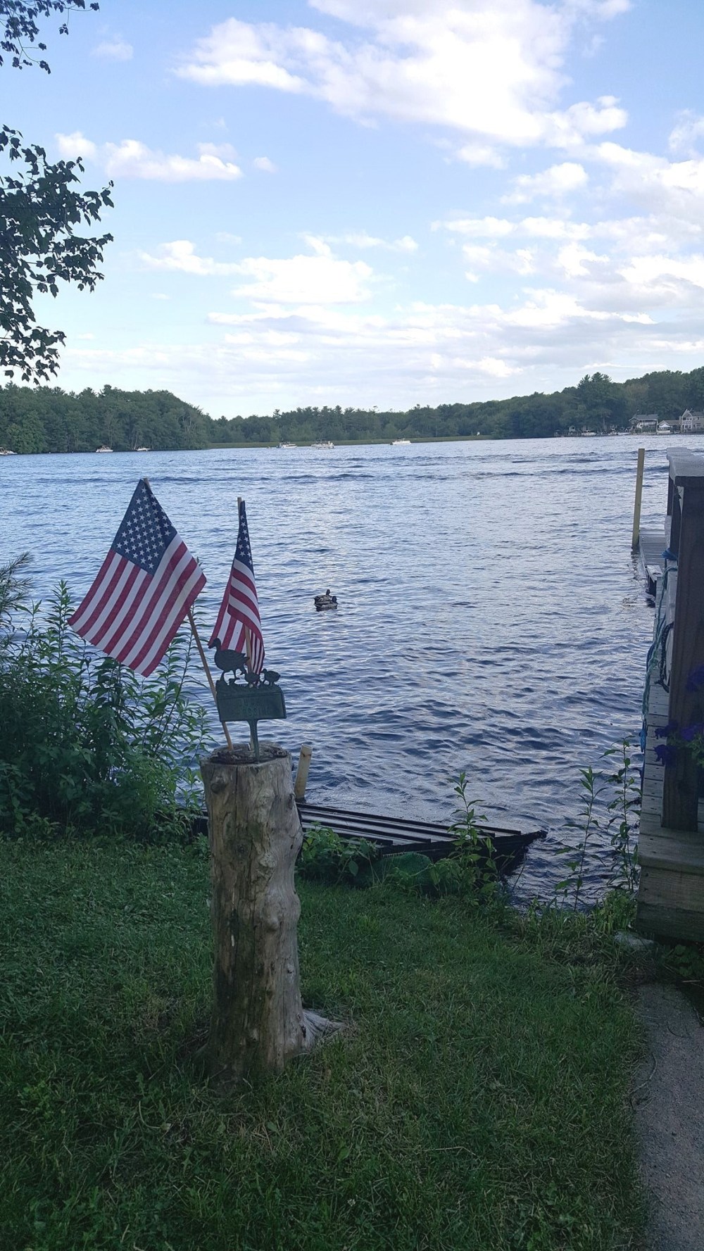 orca_share_media1499800444464