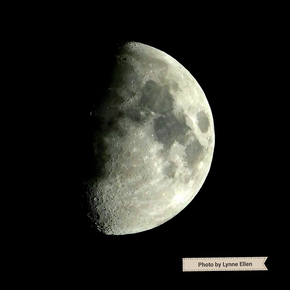 22008160_10211728093411748_6791801995529765175_n