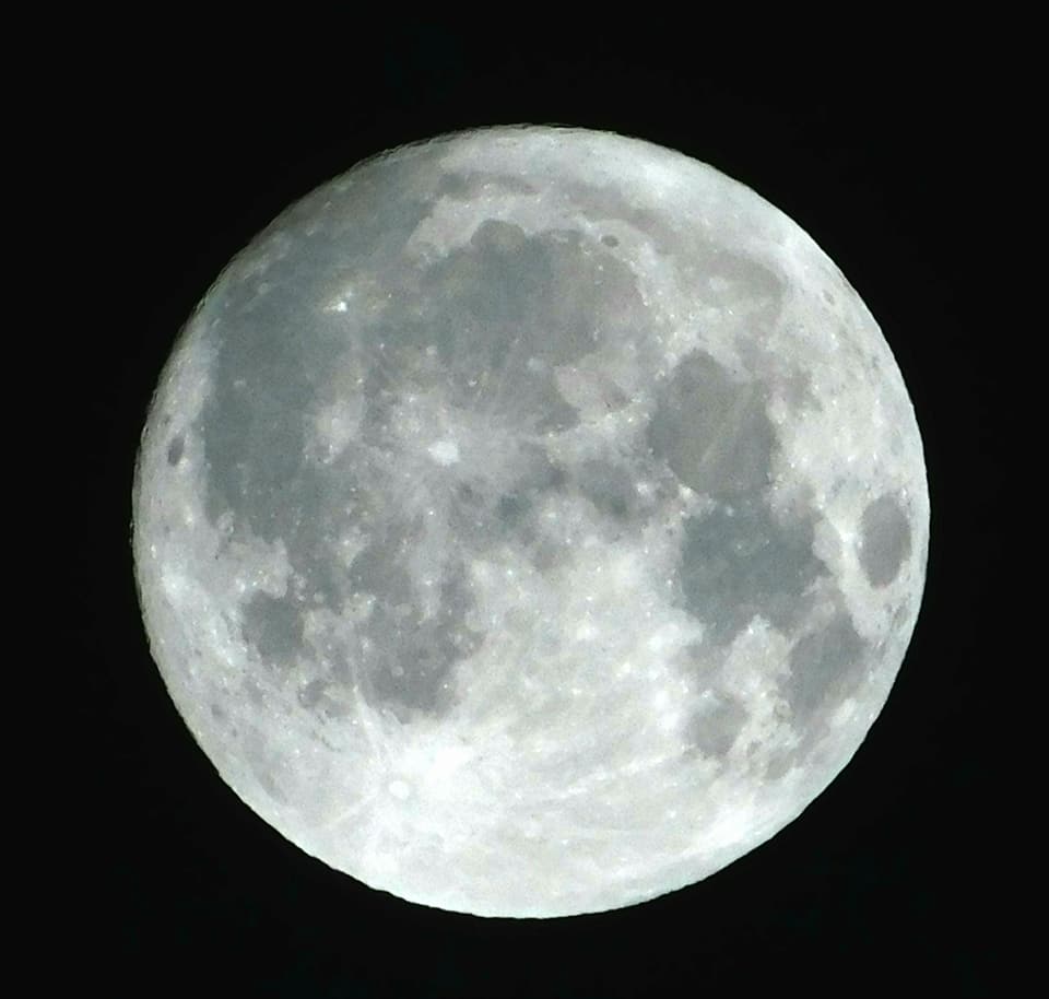 22196329_10211765273221220_6797554706129442909_n