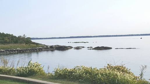 21740431_10211599189029219_7167437662636006406_n