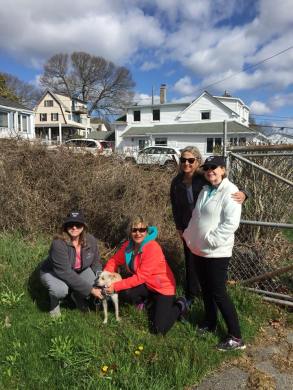 31682454_10211557941803971_5066946109352443904_n