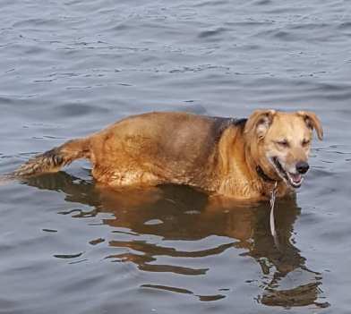 48339137_10214970517990336_7907220540681617408_n